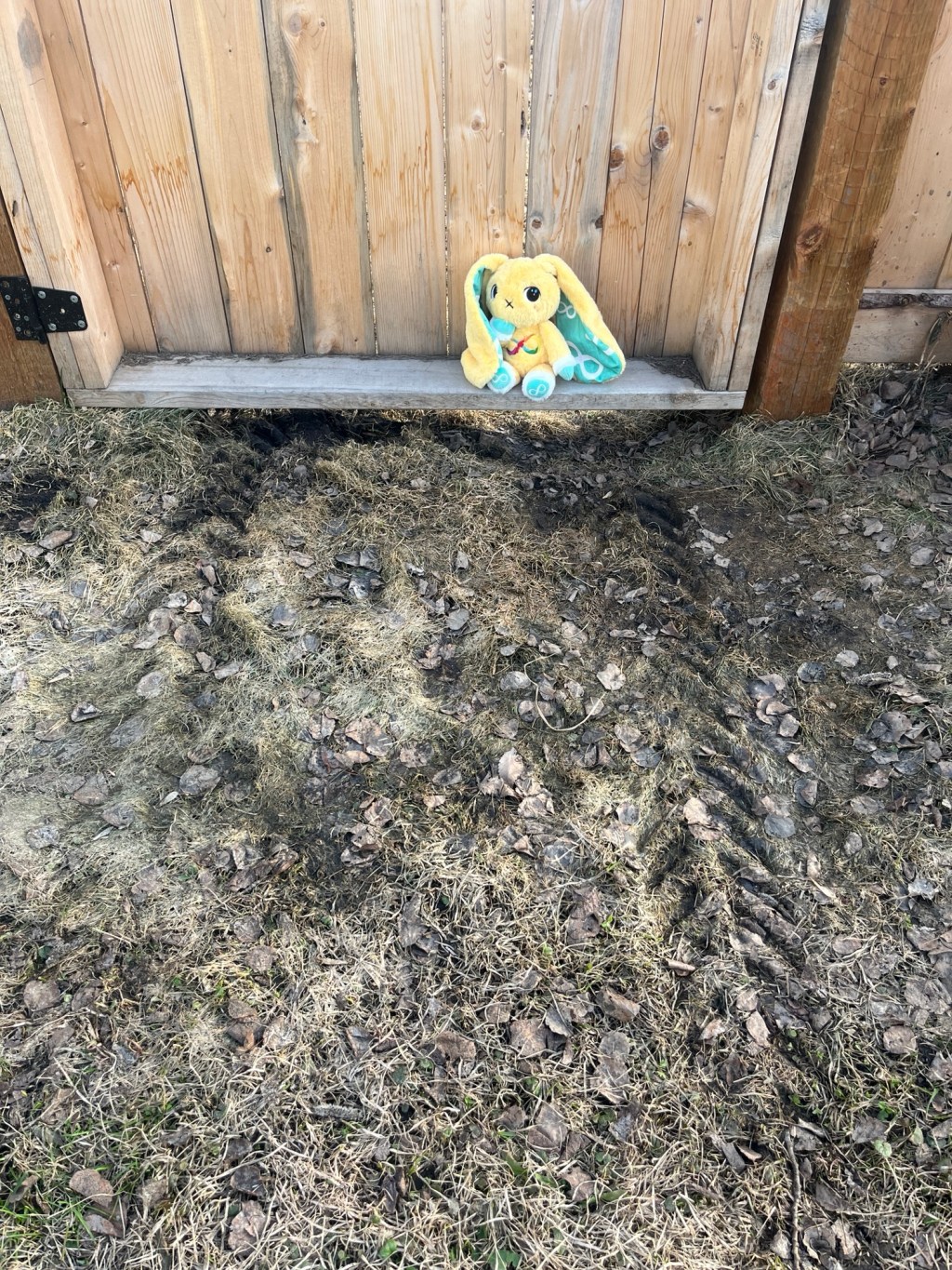 Sometimes it’s hard to think of things everyday. ADHD or&nbsp;autism?