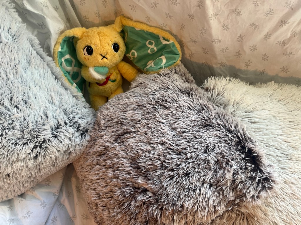 Disability overshadowed by high&nbsp;IQ