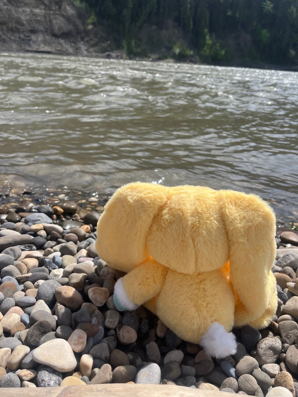 The autistic hyper awareness of bodily&nbsp;functions