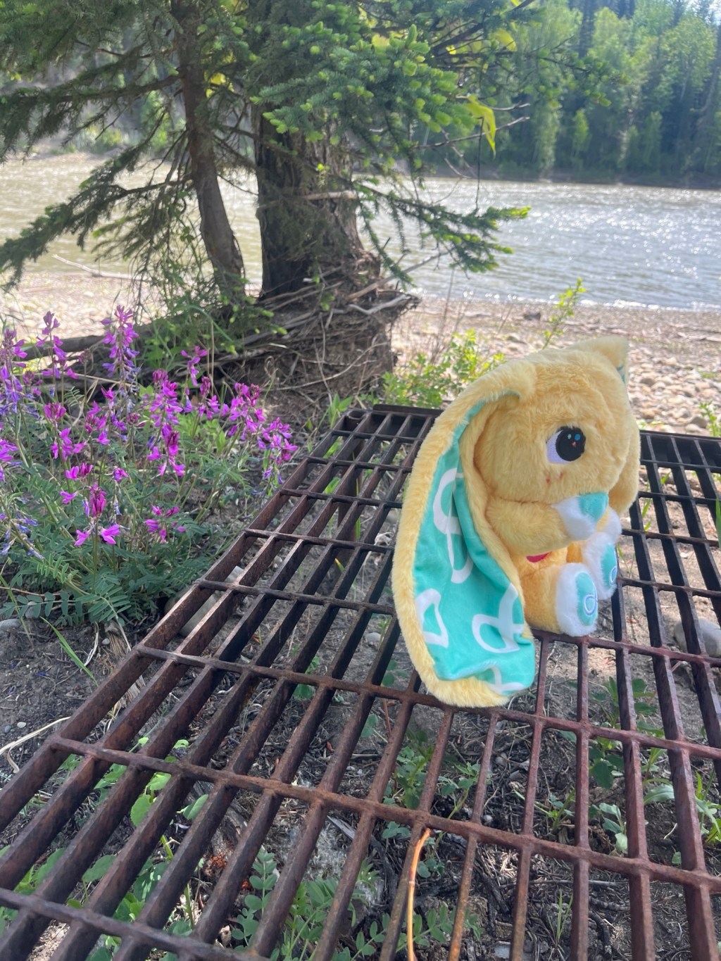 Me, myself and&nbsp;I