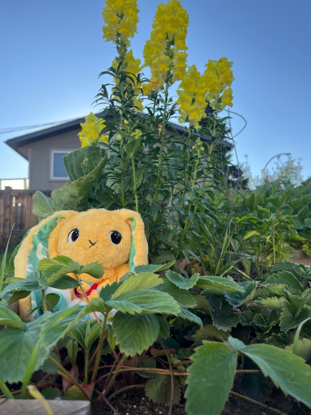 Autism was never a word in my&nbsp;world